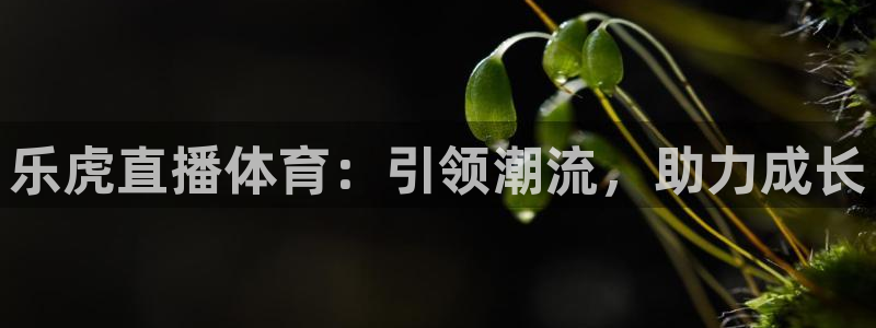 五星体育体育新闻：乐虎直播体育：引领潮流，助力成长