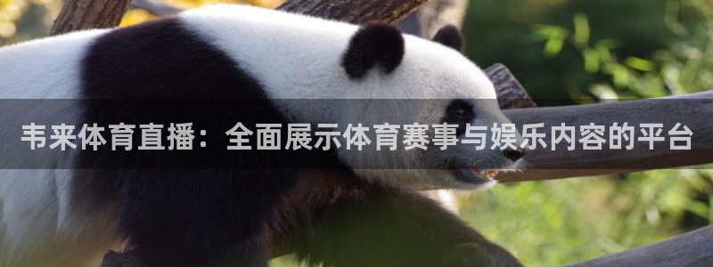 五星体育广播94.0：韦来体育直播：全面展示体育赛事与娱乐内容的平台