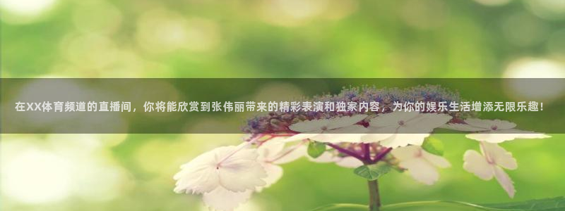 五星体育 解说