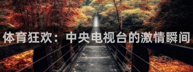五星体育在线高清直播观看：体育狂欢：中央电视台的激情瞬间